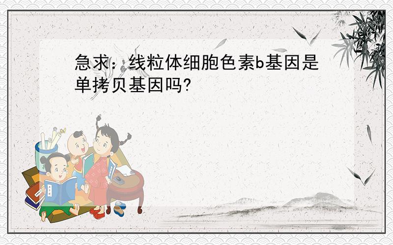 急求：线粒体细胞色素b基因是单拷贝基因吗?