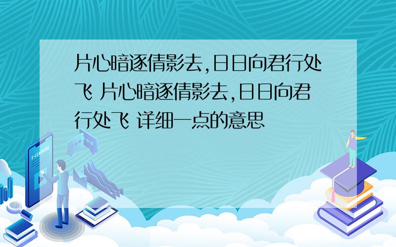 片心暗逐倩影去,日日向君行处飞 片心暗逐倩影去,日日向君行处飞 详细一点的意思