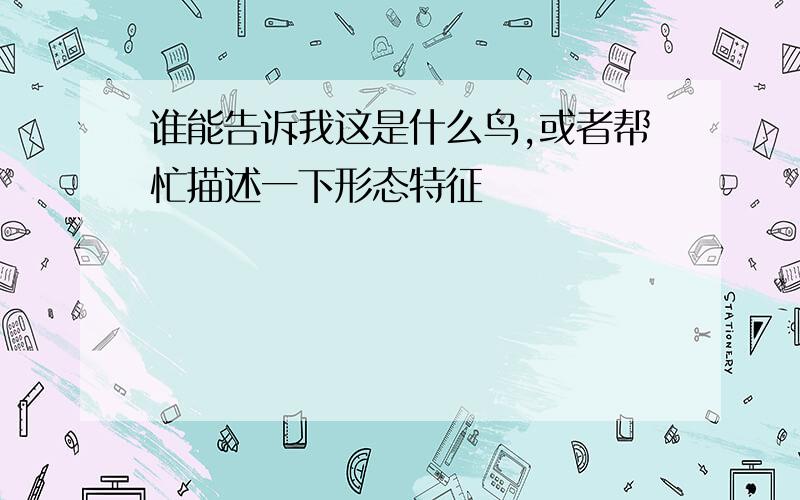 谁能告诉我这是什么鸟,或者帮忙描述一下形态特征