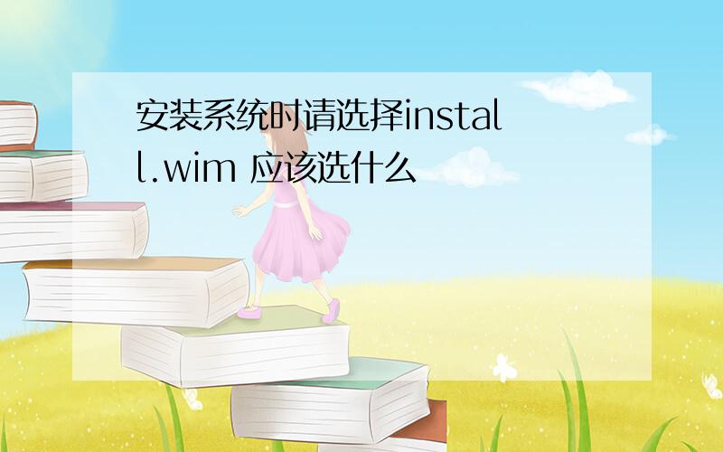 安装系统时请选择install.wim 应该选什么