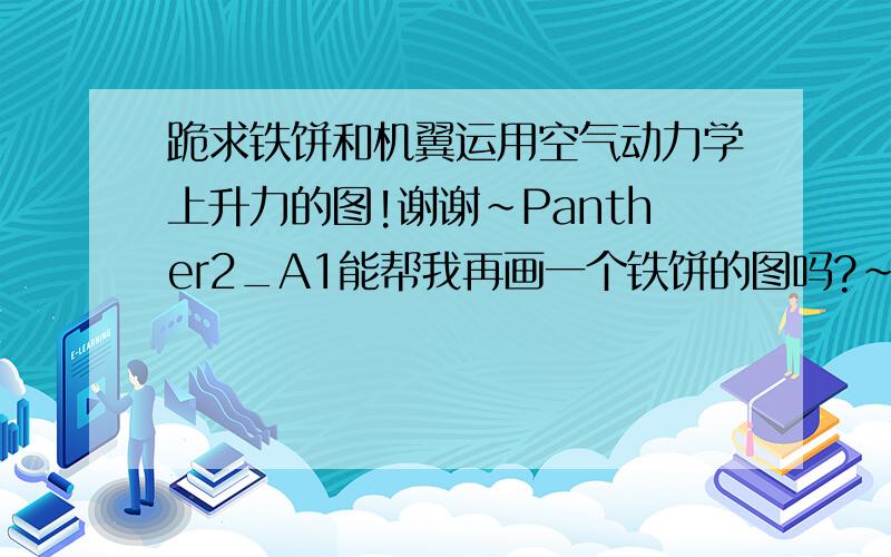 跪求铁饼和机翼运用空气动力学上升力的图!谢谢~Panther2_A1能帮我再画一个铁饼的图吗?~`谢谢哦~~还是跟机翼差不多~~有什么区别呢?我写一个实验报告主要是研究铁饼的,然后顺便提一下它跟机