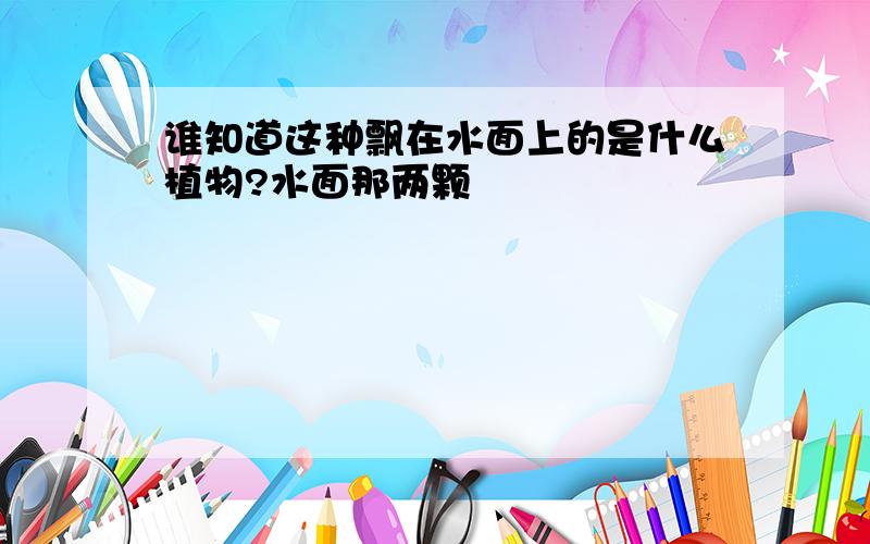 谁知道这种飘在水面上的是什么植物?水面那两颗