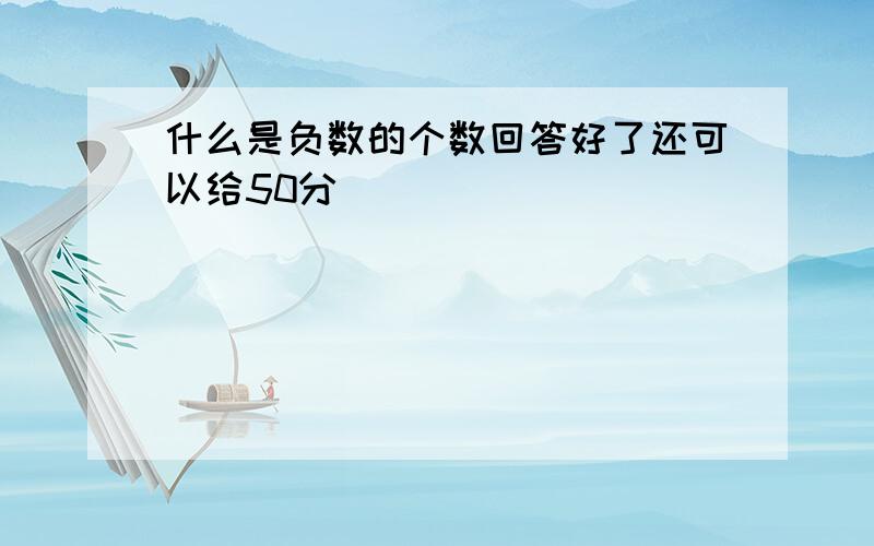 什么是负数的个数回答好了还可以给50分