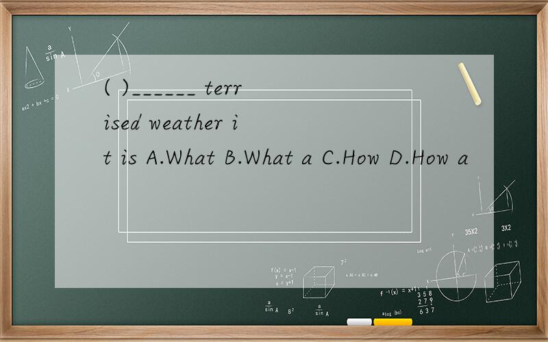 ( )______ terrised weather it is A.What B.What a C.How D.How a