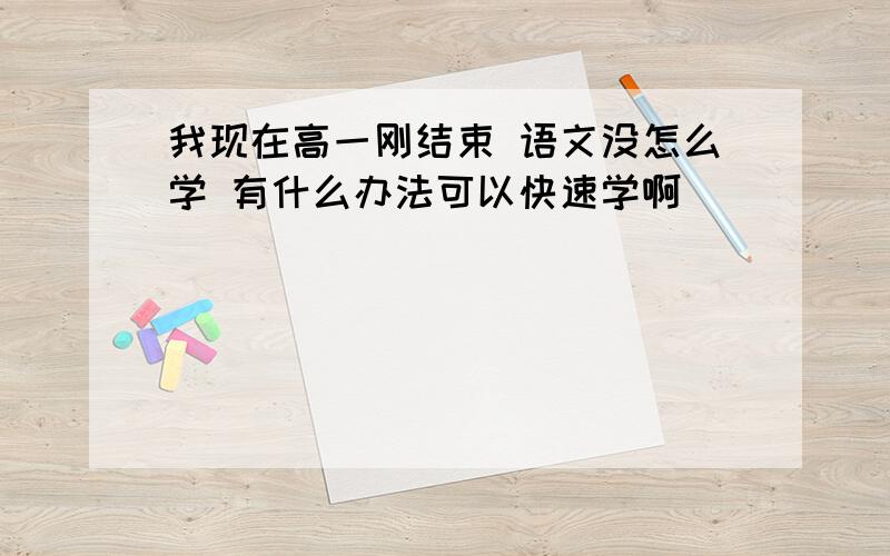 我现在高一刚结束 语文没怎么学 有什么办法可以快速学啊