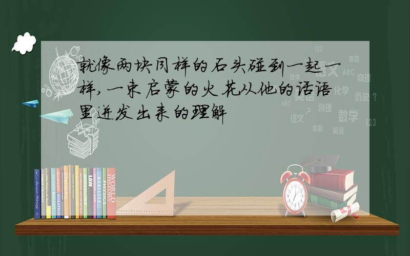 就像两块同样的石头碰到一起一样,一束启蒙的火花从他的话语里迸发出来的理解