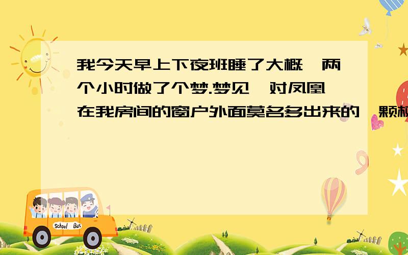 我今天早上下夜班睡了大概一两个小时做了个梦.梦见一对凤凰在我房间的窗户外面莫名多出来的一颗树上面栖息