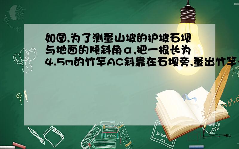 如图,为了测量山坡的护坡石坝与地面的倾斜角α,把一根长为4.5m的竹竿AC斜靠在石坝旁,量出竹竿长1m时它离地面的高度为0.6m,又量得竿顶与坝脚的距离BC=2.8m.这样∠α求就可以算出来了.请你算