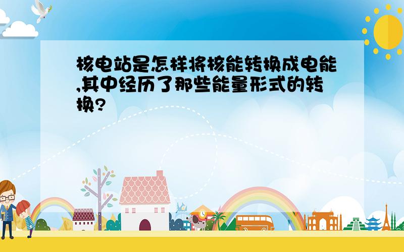 核电站是怎样将核能转换成电能,其中经历了那些能量形式的转换?