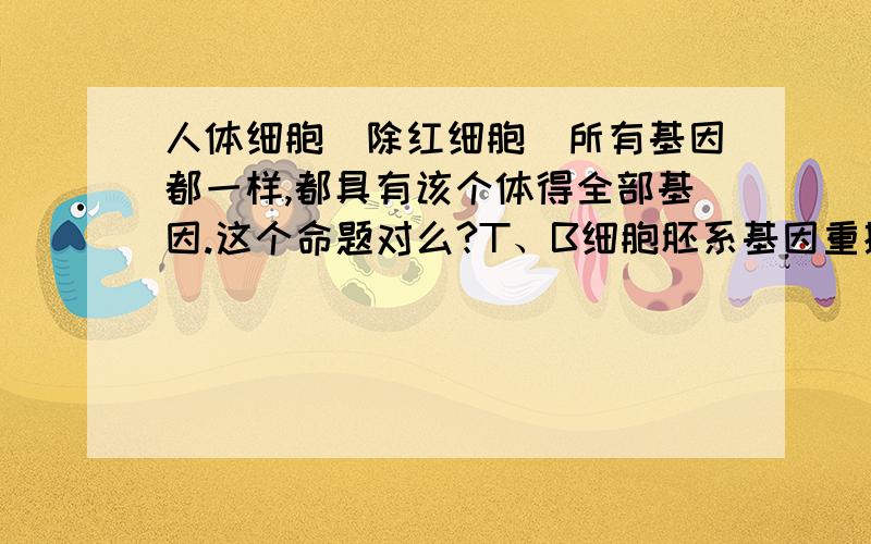 人体细胞（除红细胞）所有基因都一样,都具有该个体得全部基因.这个命题对么?T、B细胞胚系基因重排如何解释?可我看书上写的胚系基因重排好像是删除一些片段啊 T、B细胞胚系基因重排不