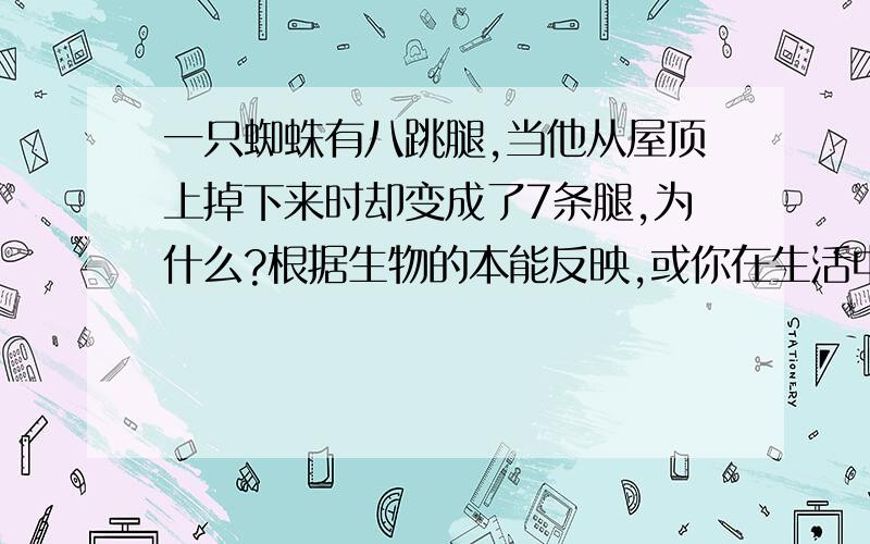 一只蜘蛛有八跳腿,当他从屋顶上掉下来时却变成了7条腿,为什么?根据生物的本能反映,或你在生活中所遇到时产生的姿体反映.还差一点点哦!加油.