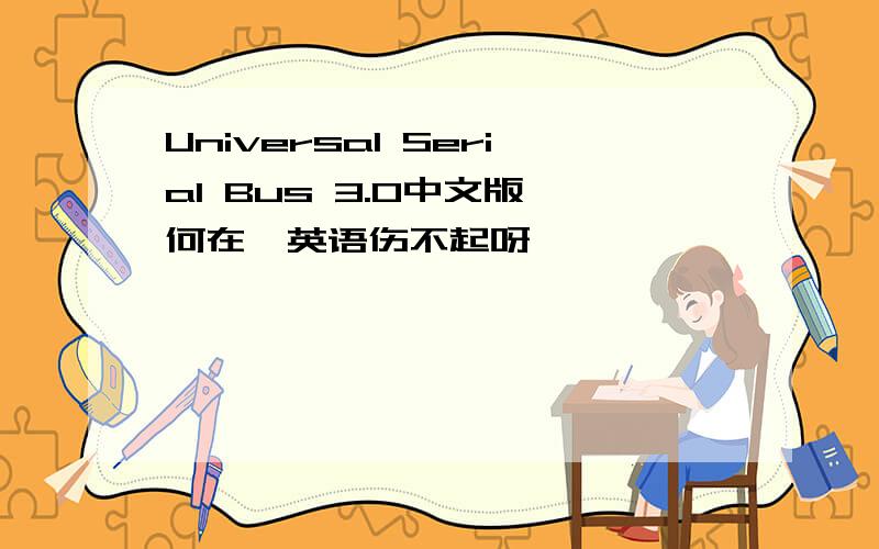 Universal Serial Bus 3.0中文版,何在,英语伤不起呀