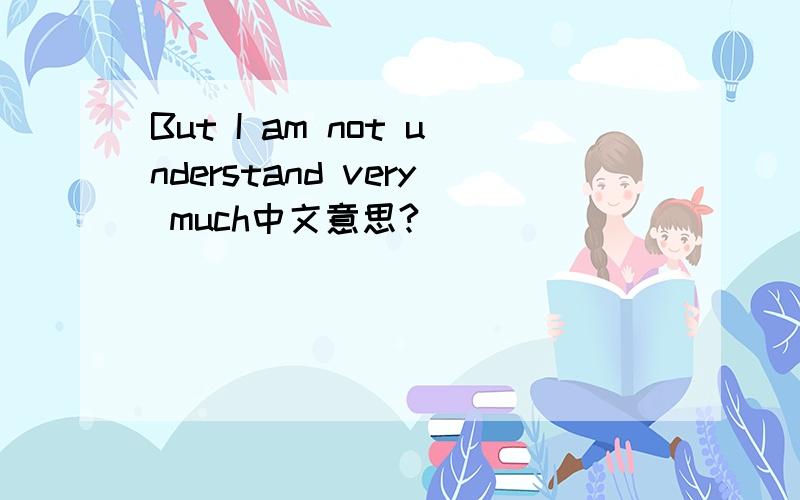 But I am not understand very much中文意思?