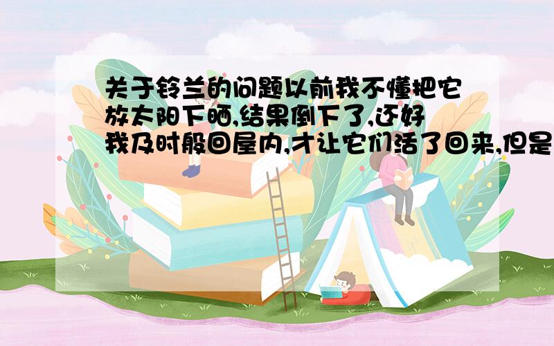 关于铃兰的问题以前我不懂把它放太阳下晒,结果倒下了,还好我及时般回屋内,才让它们活了回来,但是现在都二十几天了,依旧只有一片叶子,一点都没有长,别人说它夏天休眠,但是现在又不热