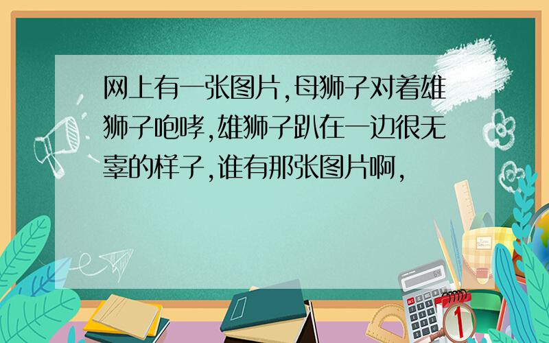 网上有一张图片,母狮子对着雄狮子咆哮,雄狮子趴在一边很无辜的样子,谁有那张图片啊,