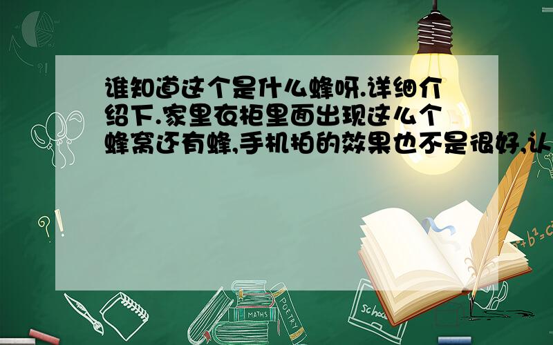 谁知道这个是什么蜂呀.详细介绍下.家里衣柜里面出现这么个蜂窝还有蜂,手机拍的效果也不是很好,认识的朋友帮忙看下吧.什么种类的,有毒没,毒性大不大.