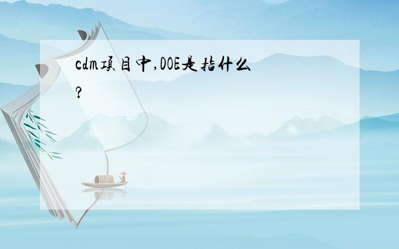 cdm项目中,DOE是指什么?