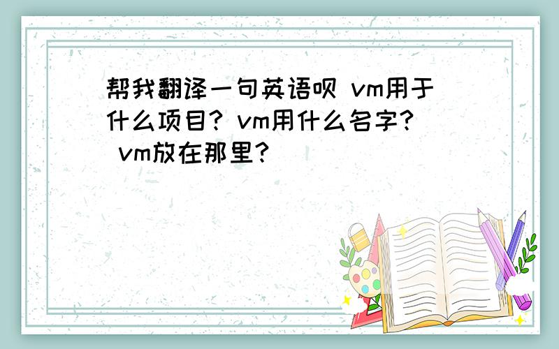 帮我翻译一句英语呗 vm用于什么项目? vm用什么名字? vm放在那里?