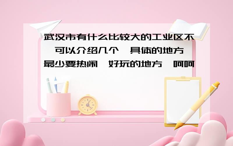 武汉市有什么比较大的工业区不,可以介绍几个,具体的地方,最少要热闹,好玩的地方,呵呵