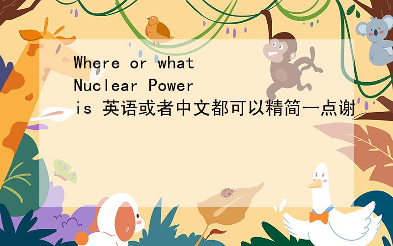 Where or what Nuclear Power is 英语或者中文都可以精简一点谢