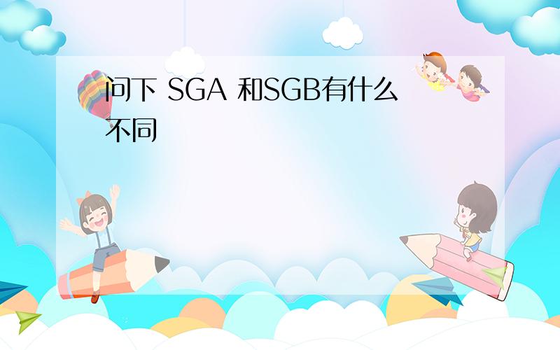 问下 SGA 和SGB有什么不同