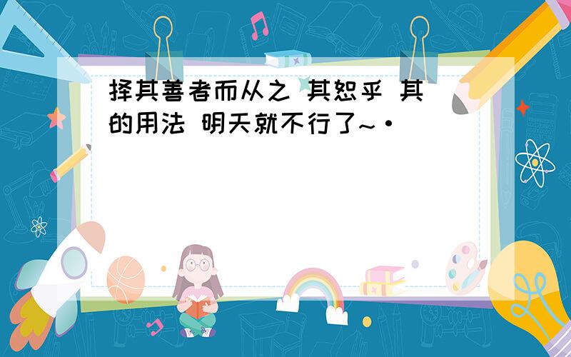 择其善者而从之 其恕乎 其 的用法 明天就不行了~·