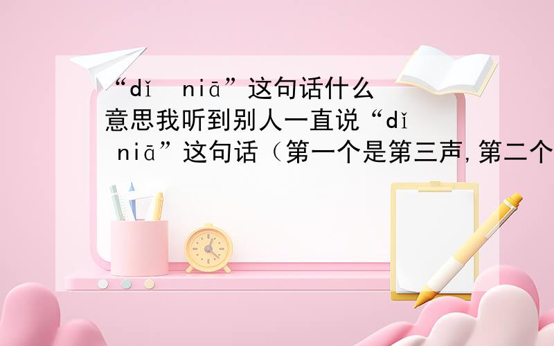 “dǐ  niā”这句话什么意思我听到别人一直说“dǐ  niā”这句话（第一个是第三声,第二个字是第声）  但是感觉这句话好怪啊   一直想知道这是什么意思  怎么写他一句话都是用普通话说的