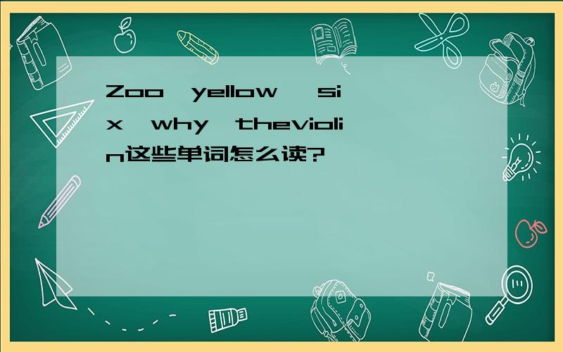 Zoo,yellow ,six,why,theviolin这些单词怎么读?