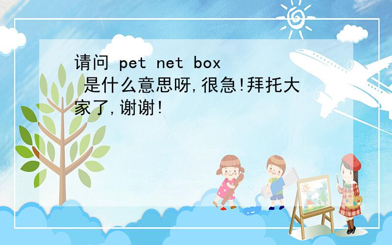 请问 pet net box 是什么意思呀,很急!拜托大家了,谢谢!