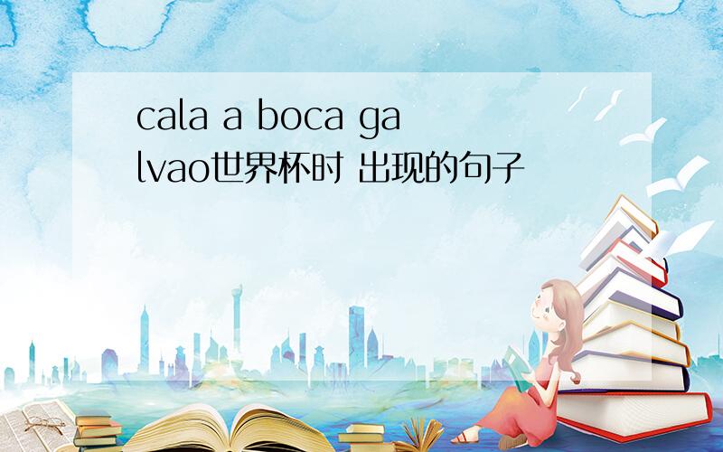 cala a boca galvao世界杯时 出现的句子