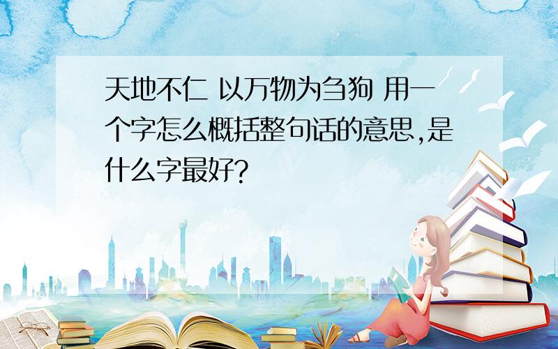 天地不仁 以万物为刍狗 用一个字怎么概括整句话的意思,是什么字最好?