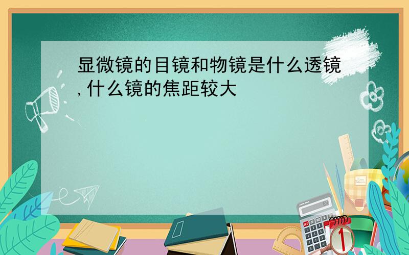 显微镜的目镜和物镜是什么透镜,什么镜的焦距较大