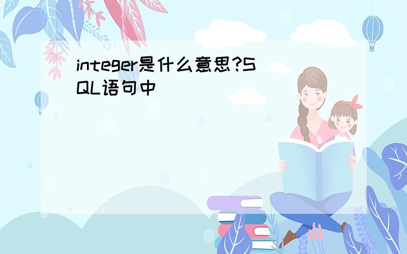 integer是什么意思?SQL语句中