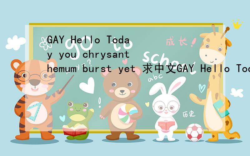 GAY Hello Today you chrysanthemum burst yet 求中文GAY Hello Today you chrysanthemum burst yet