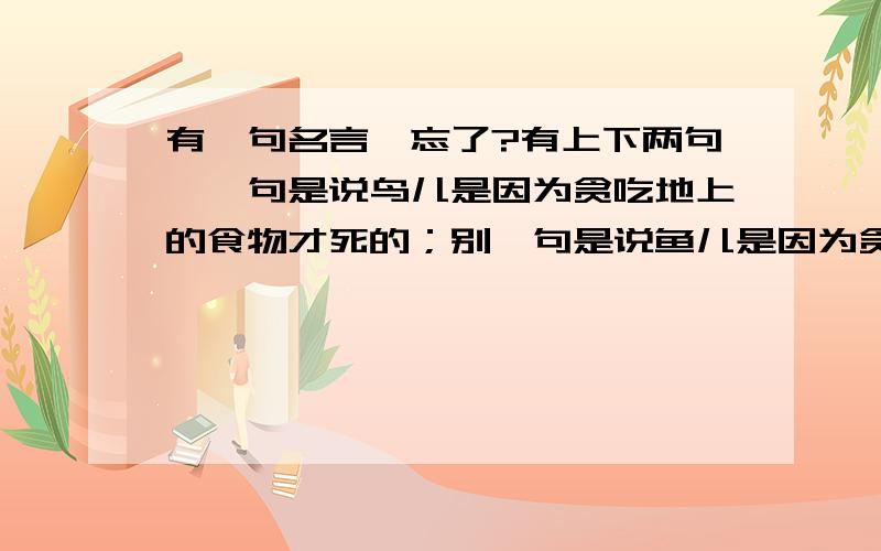 有一句名言,忘了?有上下两句,一句是说鸟儿是因为贪吃地上的食物才死的；别一句是说鱼儿是因为贪吃鱼耳才死的,有两句,每句好像7个字,第一句有鸟,第二句有鱼,