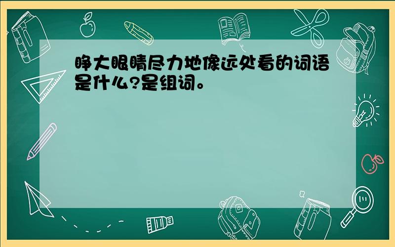 睁大眼睛尽力地像远处看的词语是什么?是组词。