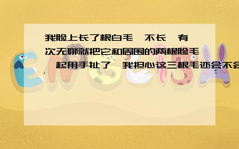 我脸上长了根白毛,不长,有一次无聊就把它和周围的两根脸毛一起用手扯了,我担心这三根毛还会不会长?长出来长度是否一样?