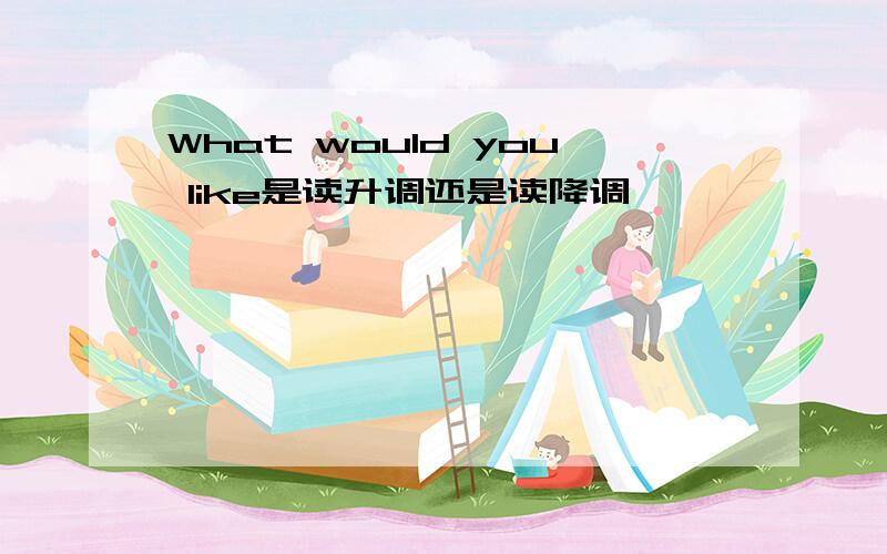 What would you like是读升调还是读降调