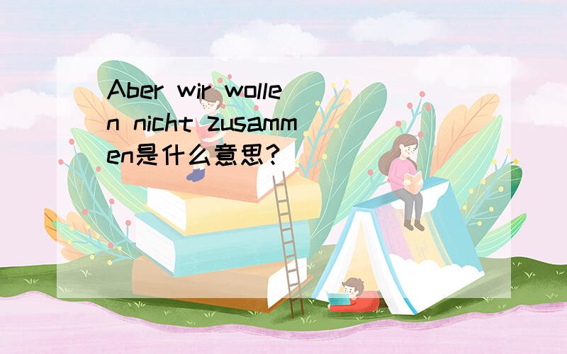 Aber wir wollen nicht zusammen是什么意思?