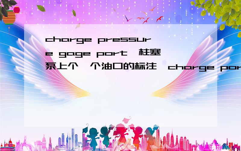 charge pressure gage port,柱塞泵上个一个油口的标注,charge port