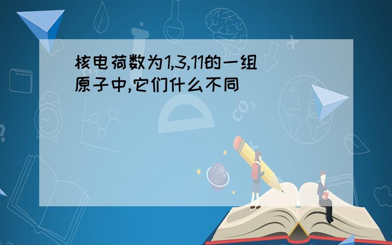 核电荷数为1,3,11的一组原子中,它们什么不同