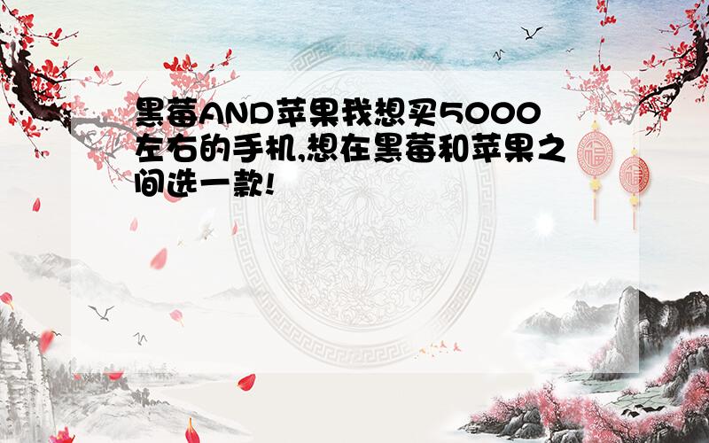 黑莓AND苹果我想买5000左右的手机,想在黑莓和苹果之间选一款!