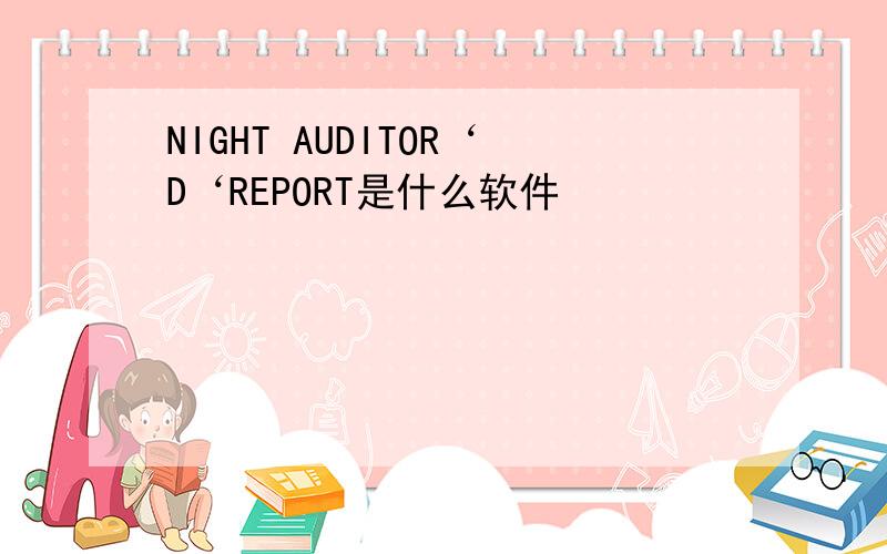 NIGHT AUDITOR‘D‘REPORT是什么软件