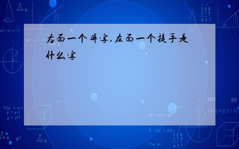 右面一个屏字,左面一个提手是什么字