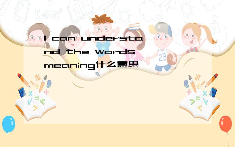 I can understand the words' meaning什么意思