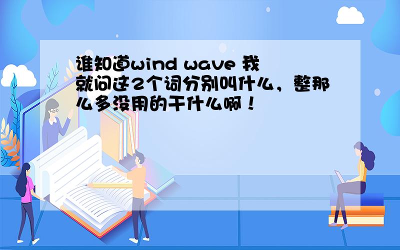 谁知道wind wave 我就问这2个词分别叫什么，整那么多没用的干什么啊！