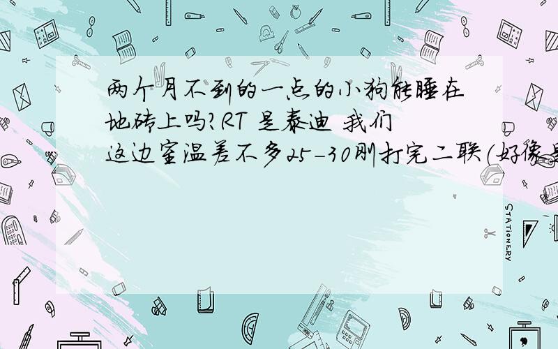 两个月不到的一点的小狗能睡在地砖上吗?RT 是泰迪 我们这边室温差不多25-30刚打完二联（好像是吧）几天