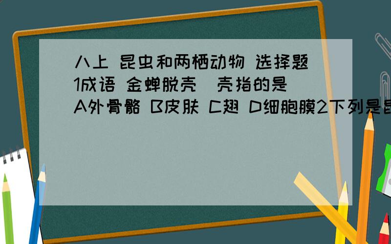 八上 昆虫和两栖动物 选择题1成语 金蝉脱壳  壳指的是A外骨骼 B皮肤 C翅 D细胞膜2下列是昆虫与蝗虫与陆地生活相适应的特征, 其中不能说明问题的是A蝗虫要靠气管完成呼吸作用B蝗虫个体发