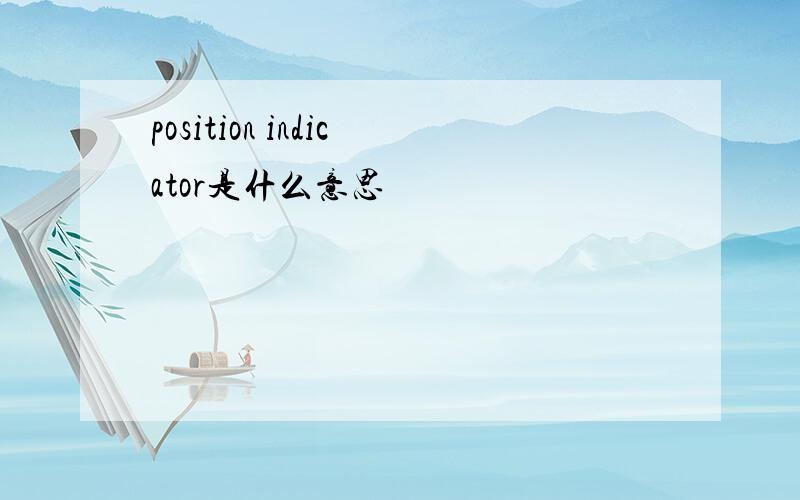 position indicator是什么意思