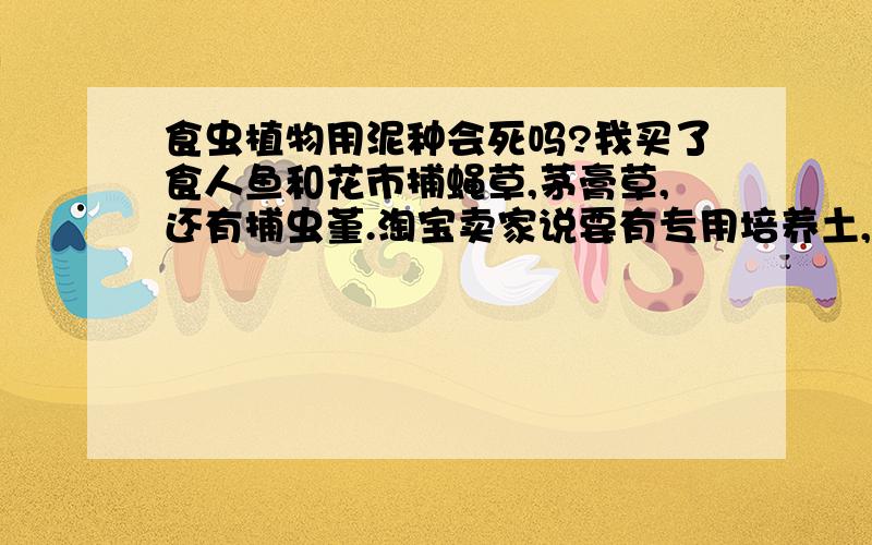 食虫植物用泥种会死吗?我买了食人鱼和花市捕蝇草,茅膏草,还有捕虫堇.淘宝卖家说要有专用培养土,不然养不活.不知道是真的不.专用培养土是珍珠岩进口泥炭水苔